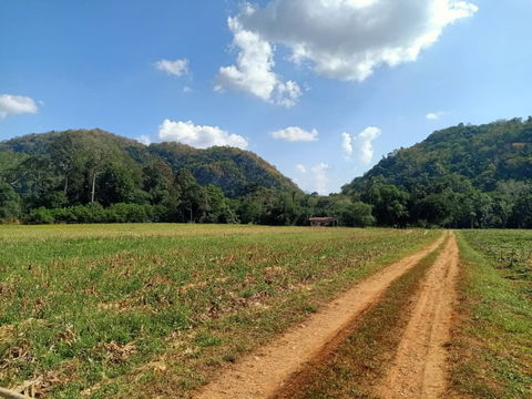 ขายที่ดินเขาใหญ่ ปากช่อง ติดน้ำลำตะคอง หมูสี ท่าช้าง ใกล้ธนะรัชต์ 21 ไร่ ที่สวยมาก วิวเขาล้อมรอบ ใกล้บ่อน้ำผุดธรรมชาติใกล้ทางขึ้นอุทยาน 0879074045