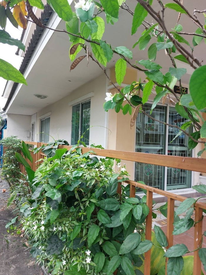 รูป ขาย บ้านทาวน์เฮ้าส์ หลังมุม หมู่บ้านพฤกษาวิลล์ 29 ซอยเพชรเกษม 69 แยก 6-1-1 - รูปที่ 11/11