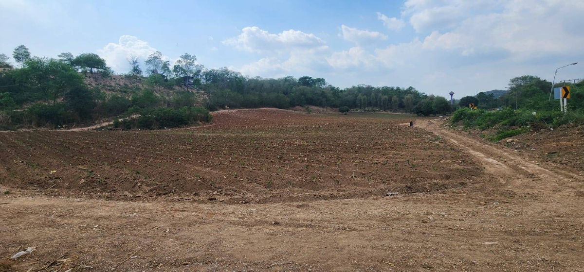 picture Prime Land for Sale  12 Rai on Muak Lek–Sub Noi Nuea - 7/8