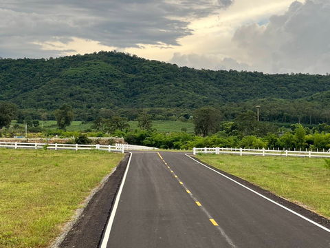 ขายที่ดินเขาใหญ่ วิวเขาสวยมาก 4-5ไร่ ขนงพระ ปากช่อง ใกล้2235 สนามกลอฟ์แรนโชว์ กำนันโจ้  0879074045