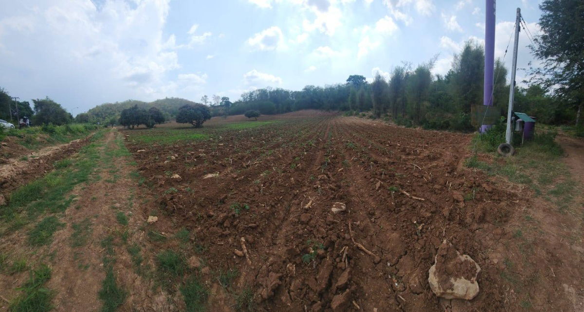 picture Prime Land for Sale  12 Rai on Muak Lek–Sub Noi Nuea - 4/8