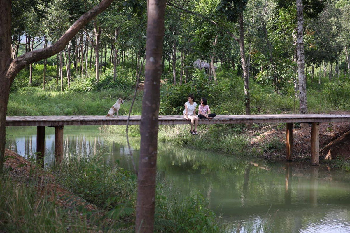 รูป ขายที่เนินหอม เขาใหญ่ 37ไร่ ที่ติดเขาติดน้ำ เมืองปราจีนบุรี มีแหล่งน้ำธรรมชาติในที่ ใกล้ทางขึ้นอุทยานเขาใหญ่ฝั่งปราจีน ขายถูก มีไม้เศรษฐกิจ 0879074045 - รูปที่ 11/14