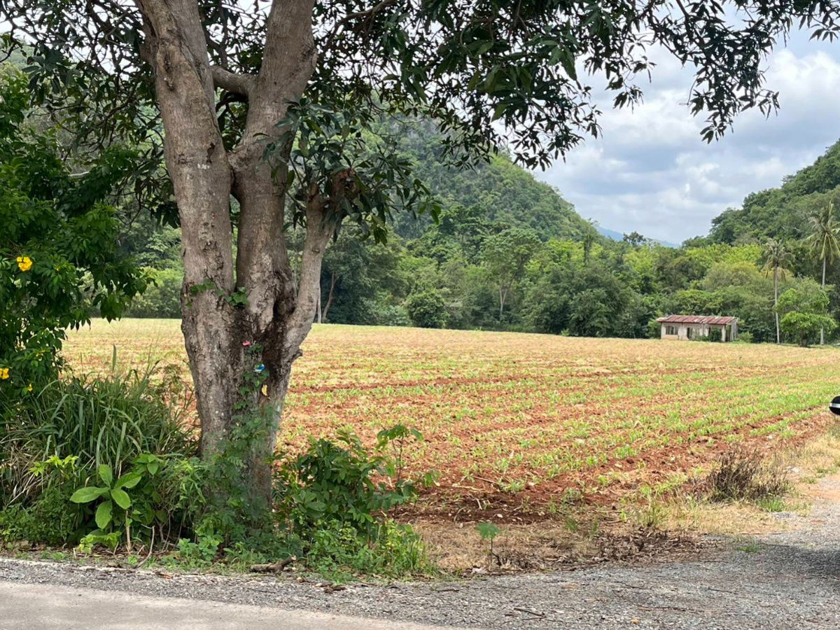 รูป ขายที่ดินเขาใหญ่ ปากช่อง ติดน้ำลำตะคอง หมูสี ท่าช้าง ใกล้ธนะรัชต์ 21 ไร่ ที่สวยมาก วิวเขาล้อมรอบ ใกล้บ่อน้ำผุดธรรมชาติใกล้ทางขึ้นอุทยาน 0879074045 - รูปที่ 2/4