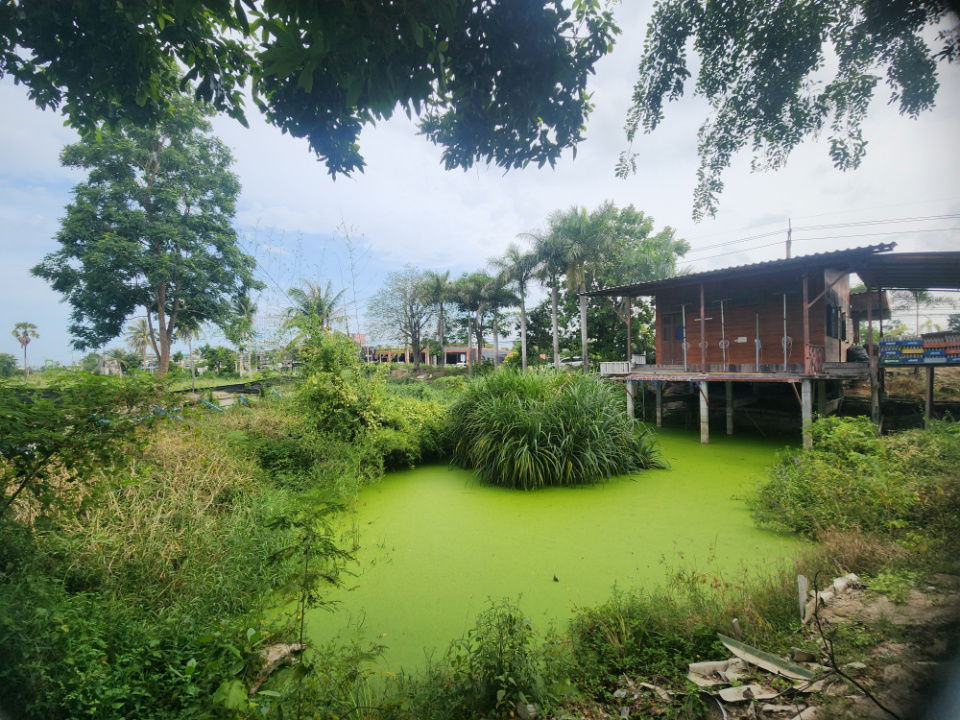รูป ขายที่ดิน ผังเมืองสีชมพู – วิวภูเขา ทำเลทองทางเข้าหาดชะอำ โซนชะอำ–หัวหิน เพชรบุรี “จุดดักสายตาก่อนถึงทะเล - รูปที่ 12/13