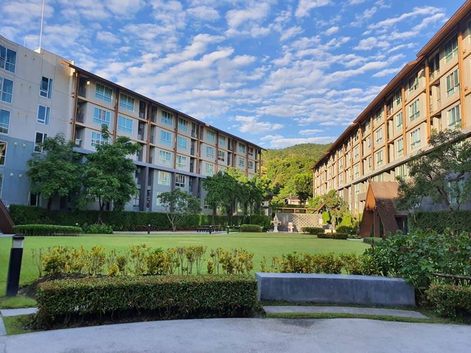 picture D condo campus resort  Chiangmai for rent !! 9,500/month near cmu , nimman road , fully furnished !! - 12/15