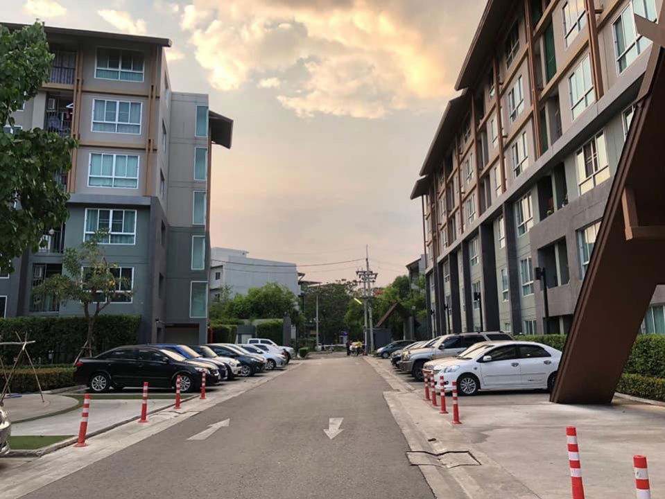 picture D condo campus resort  Chiangmai for rent !! 9,500/month near cmu , nimman road , fully furnished !! - 11/15