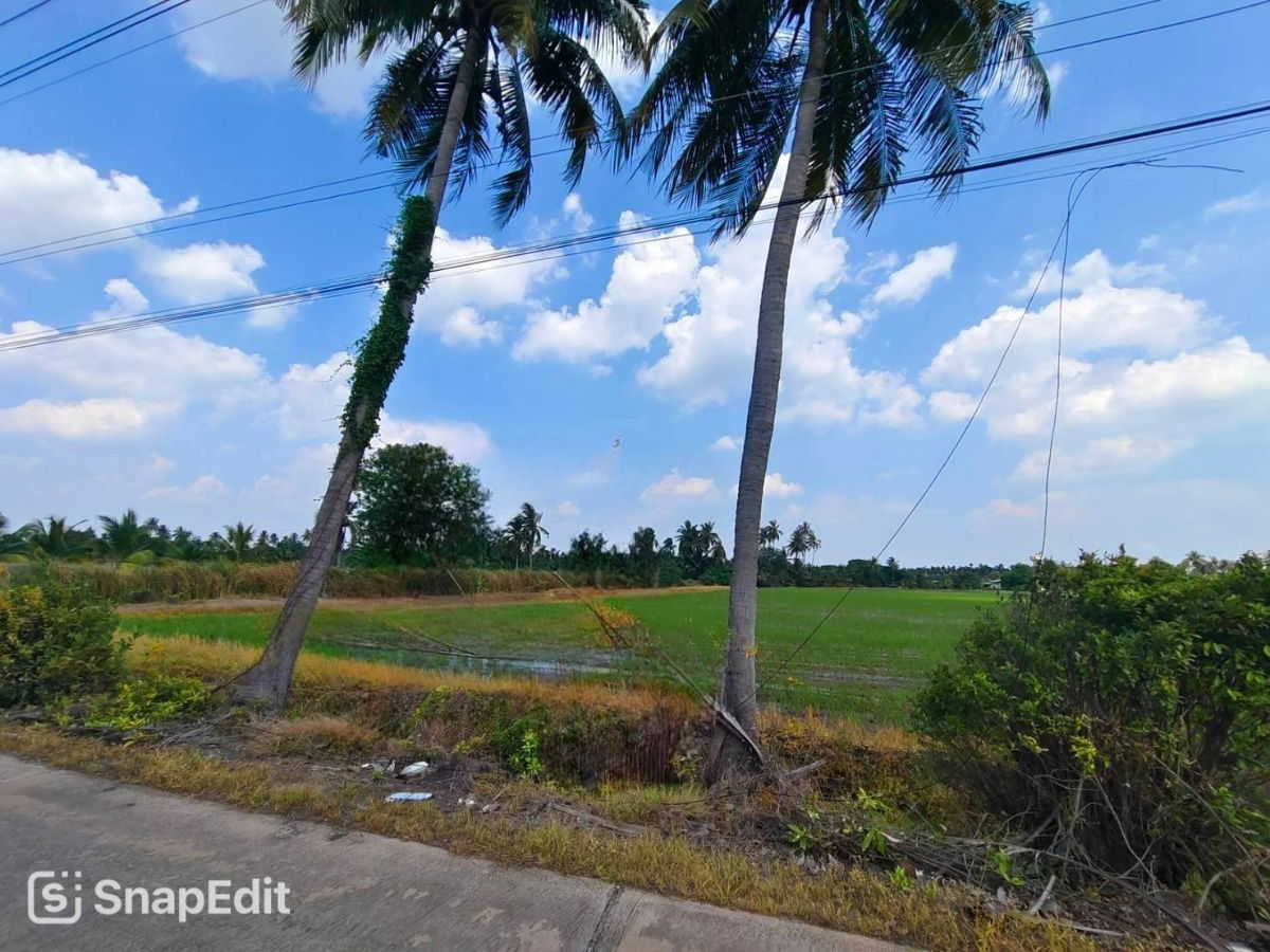 รูป ที่ดินแปลงสวย เพียง 4.5 กม.จากเซ็นทรัล ศาลายา เนื้อที่ 17-3-27 ไร่ ติดถนนคอนกรีต  - รูปที่ 5/8