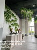 listing thumbnail image 17