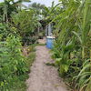 listing thumbnail image 2