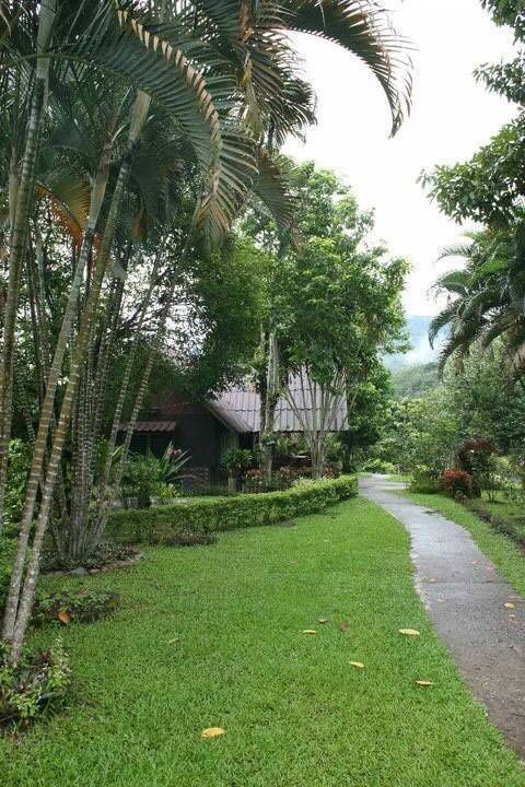 picture Large Plot of Land with Resort Business in the Heart of Nature, Mae Chan District, Chiang Rai Land Area: 22 Rai, 1 Ngan, 52.5 Square Wah - 10/15