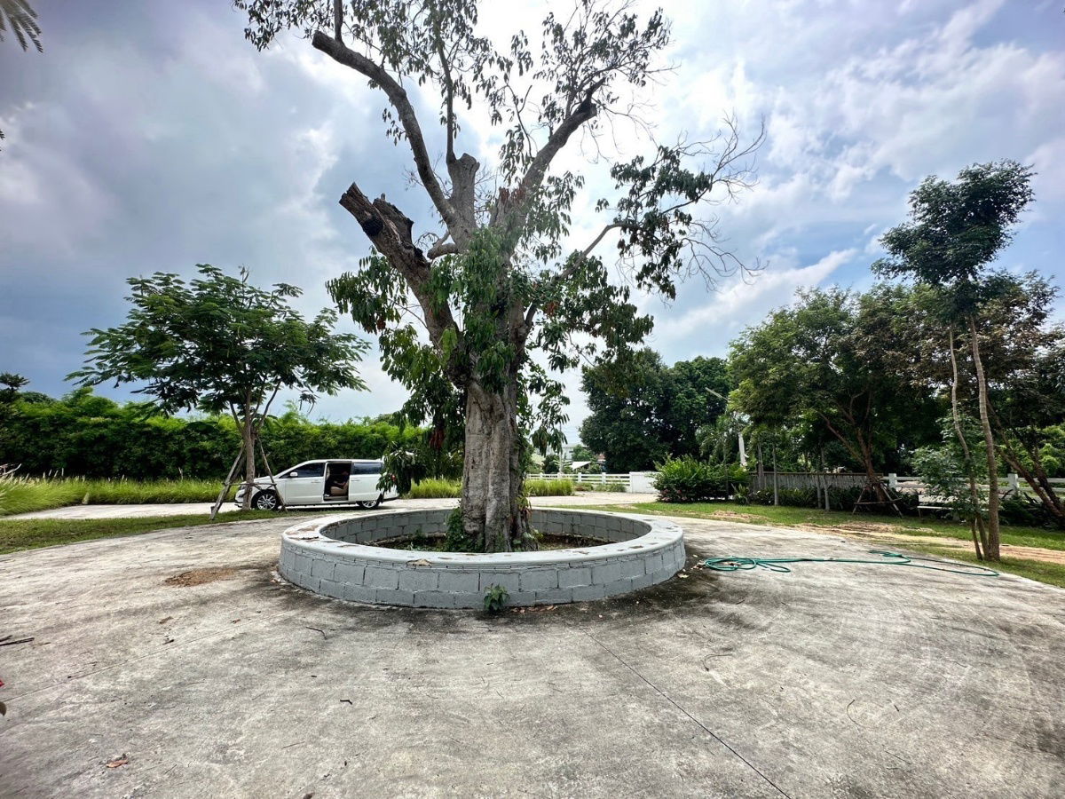 picture Land with Buildings for Sale – Total Area 2 Rai 2 Ngan 37 Sq. Wah, Near Huai Chak Nok Reservoir, Bang Lamung - 12/15