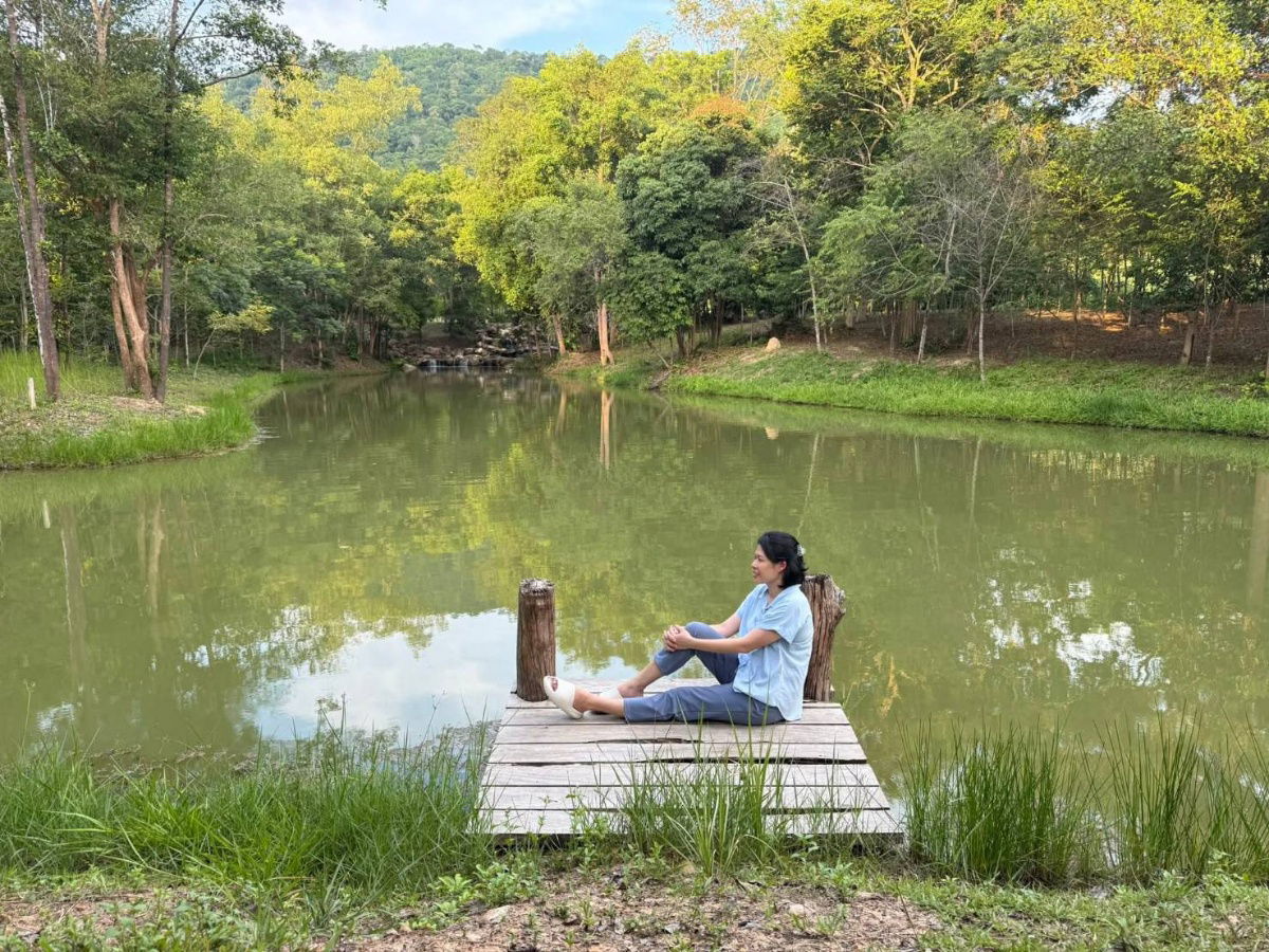 รูป ขายที่เนินหอม เขาใหญ่ 37ไร่ ที่ติดเขาติดน้ำ เมืองปราจีนบุรี มีแหล่งน้ำธรรมชาติในที่ ใกล้ทางขึ้นอุทยานเขาใหญ่ฝั่งปราจีน ขายถูก มีไม้เศรษฐกิจ 0879074045 - รูปที่ 3/14