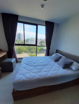 ให้เช่า 𝗧𝗵𝗲 𝗘𝘅𝗰𝗲𝗹 𝗣𝗮𝗿𝗰 ลาซาล 𝟭𝟵 🏡 𝟴,𝟬𝟬𝟬 ใกล้ 𝗕𝗧𝗦 แบริ่ง พร้อมอยู่‼️#ตอบแชทไว 🔥🔥   รหัส M1896