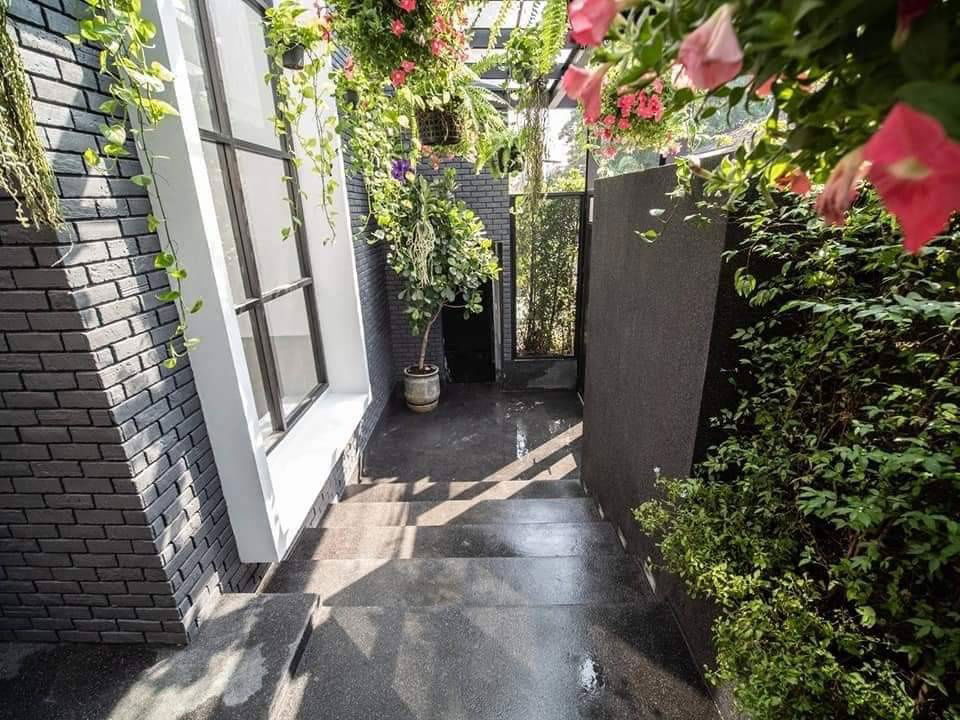 รูป ขายบ้านเดี่ยวสุขุมวิท71 ปรีดีพนมยงค์26 121ตร.ว แปลงมุม 4ห้องนอน บ้านพร้อมสระ ร่มรื่นมีสวน ใกล้ BTSพระโขนง โรงเรียนนานาชาติ Sukhumvit 087-9074045 - รูปที่ 4/18