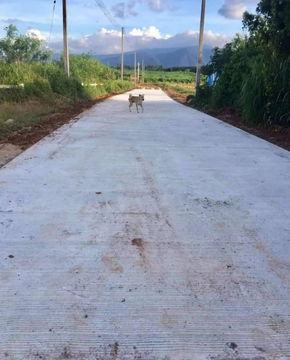 ขายที่เขาใหญ่ 3 ไร่ โป่งตาลอง สระน้ำใส หมูสี ที่สวย วิวเขารอบด้าน มีเพื่อนบ้านแปลงใหญ่หลายแปลง ไม่เปี่ยว เหมาะทำบ้านพักตากอากาศ  087-9074045
