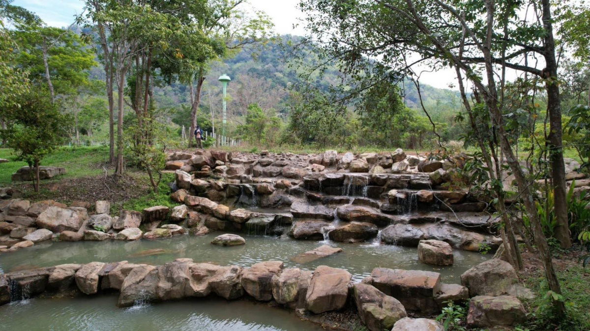 รูป ขายที่เนินหอม เขาใหญ่ 37ไร่ ที่ติดเขาติดน้ำ เมืองปราจีนบุรี มีแหล่งน้ำธรรมชาติในที่ ใกล้ทางขึ้นอุทยานเขาใหญ่ฝั่งปราจีน ขายถูก มีไม้เศรษฐกิจ 0879074045 - รูปที่ 9/14