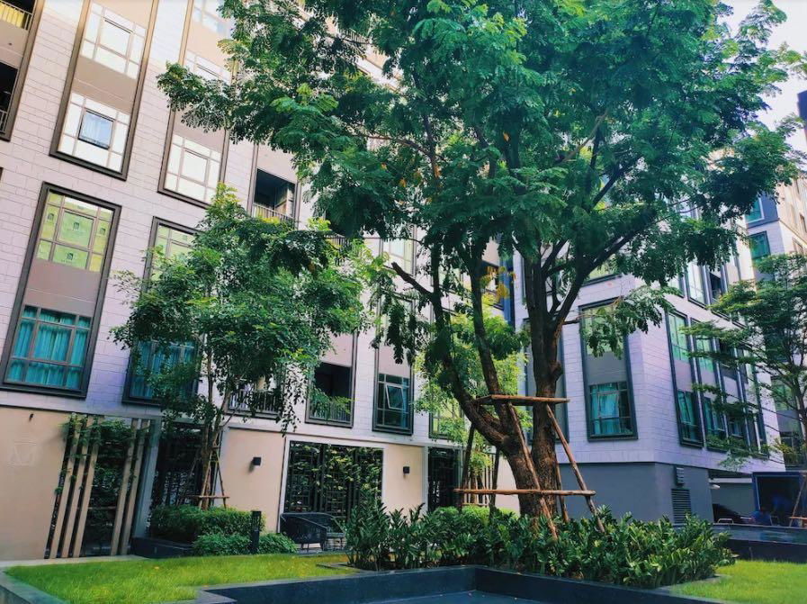 picture Condo for Rent : Maestro 19    ( Pet Friendly )(Rt-01) - 8/9