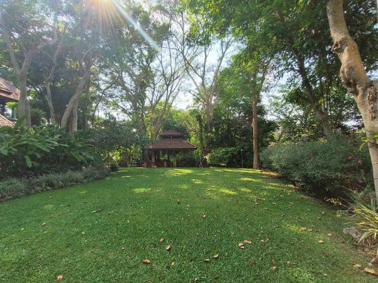 รูป ขายที่ดินริมน้ำ ที่ดินพร้อมบ้านติดธารน้ำตก เขาใหญ่ ปากช่อง 32 ไร่ พญาเย็น ติดถนนกุดคล้าผ่านศึก ที่ดินติดน้ำ ใกล้กรุงเทพ มีน้ำตกในที่ 0879074045 - รูปที่ 16/26
