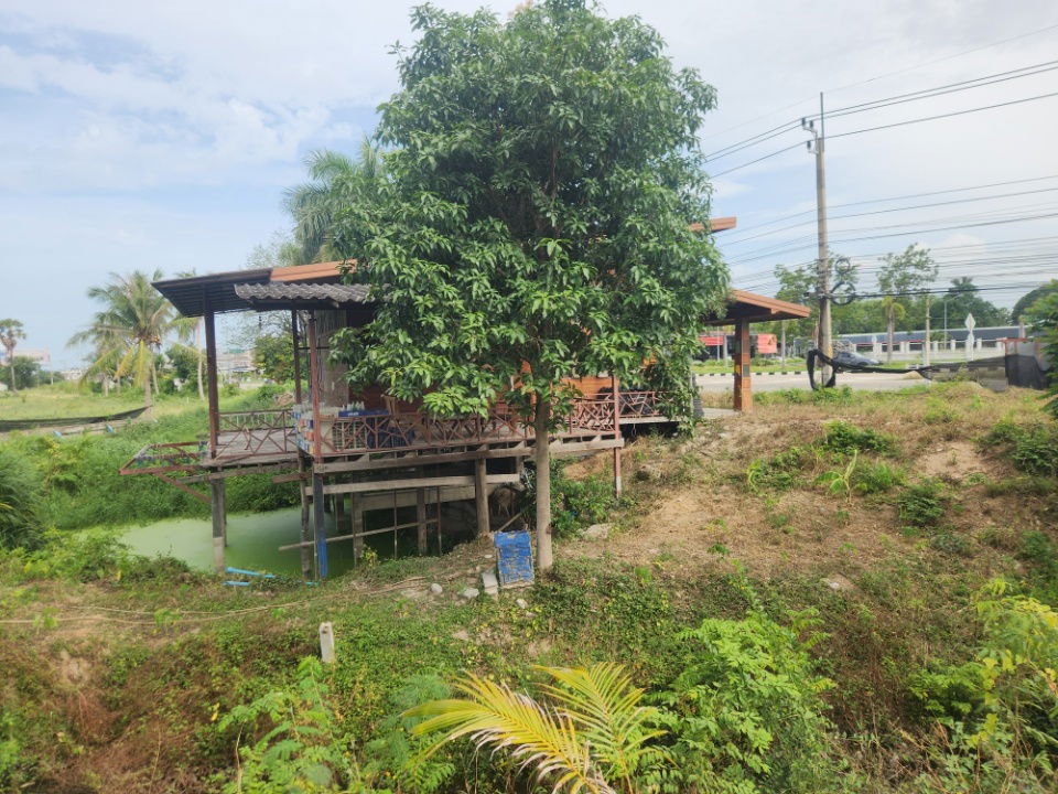 รูป ขายที่ดิน ผังเมืองสีชมพู – วิวภูเขา ทำเลทองทางเข้าหาดชะอำ โซนชะอำ–หัวหิน เพชรบุรี “จุดดักสายตาก่อนถึงทะเล - รูปที่ 10/13