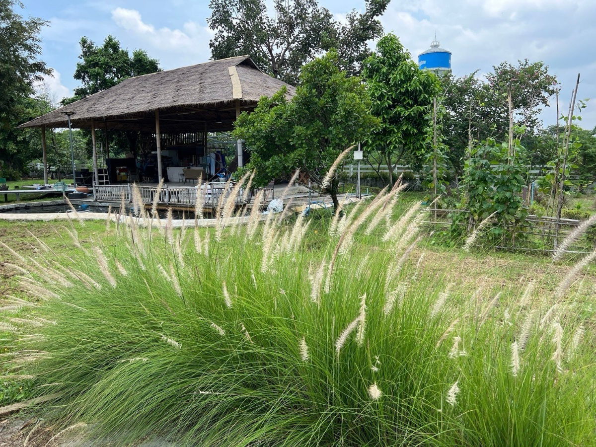 picture Land with Buildings for Sale – Total Area 2 Rai 2 Ngan 37 Sq. Wah, Near Huai Chak Nok Reservoir, Bang Lamung - 15/15