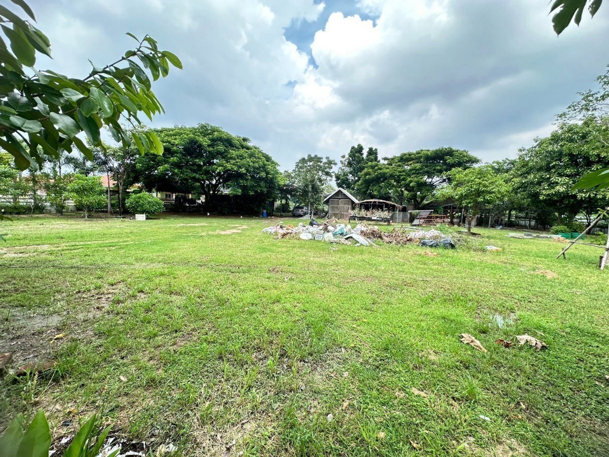 picture Land with Buildings for Sale – Total Area 2 Rai 2 Ngan 37 Sq. Wah, Near Huai Chak Nok Reservoir, Bang Lamung - 9/15