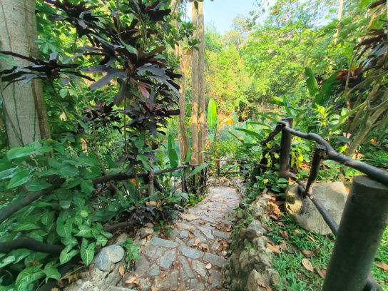 รูป ขายที่ดินริมน้ำ ที่ดินพร้อมบ้านติดธารน้ำตก เขาใหญ่ ปากช่อง 32 ไร่ พญาเย็น ติดถนนกุดคล้าผ่านศึก ที่ดินติดน้ำ ใกล้กรุงเทพ มีน้ำตกในที่ 0879074045 - รูปที่ 22/26