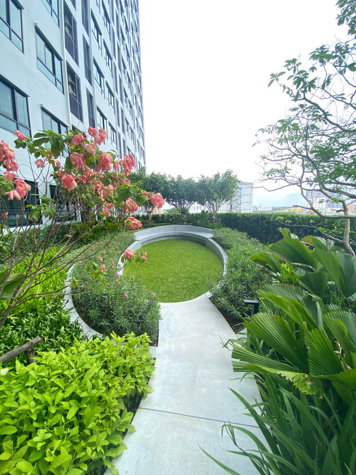 picture for rent: Ideo Ramkhamhaeng-Lamsalee, a condo next to the BTS, near The Mall —✨ New room, ready to move in - 10/12