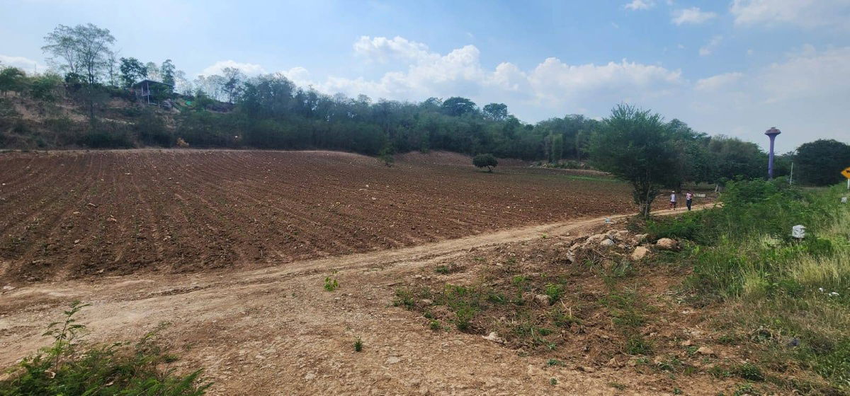 picture Prime Land for Sale  12 Rai on Muak Lek–Sub Noi Nuea - 8/8