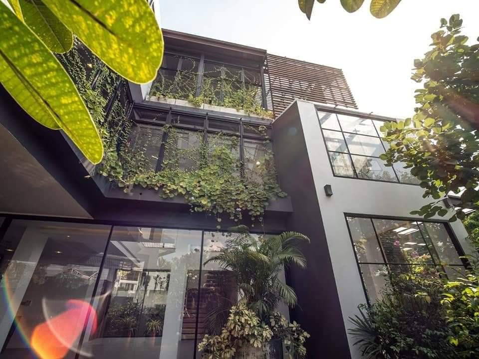 รูป ขายบ้านเดี่ยวสุขุมวิท71 ปรีดีพนมยงค์26 121ตร.ว แปลงมุม 4ห้องนอน บ้านพร้อมสระ ร่มรื่นมีสวน ใกล้ BTSพระโขนง โรงเรียนนานาชาติ Sukhumvit 087-9074045 - รูปที่ 2/18