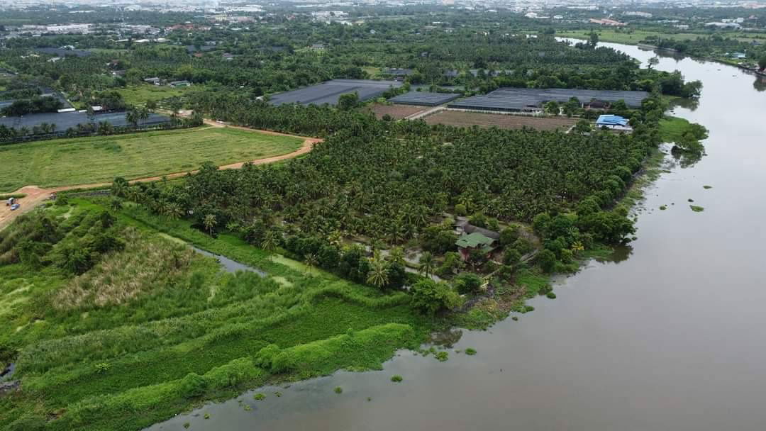 รูป ขายที่ดินริมน้ำ ที่ติดแม่น้ำท่าจีน สามพราน นครปฐม มี 2แปลง 10ไร่ กับ 12ไร่ ไร่ละ 4.5 ล้าน ใกล้เส้นเพชรเกษม อ้อมใหญ่ เหมาะทำร้านอาหารริมน้ำ โกดัง - รูปที่ 3/5