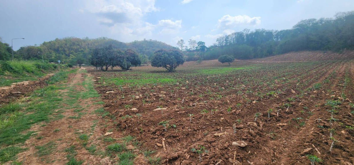 picture Prime Land for Sale  12 Rai on Muak Lek–Sub Noi Nuea - 5/8