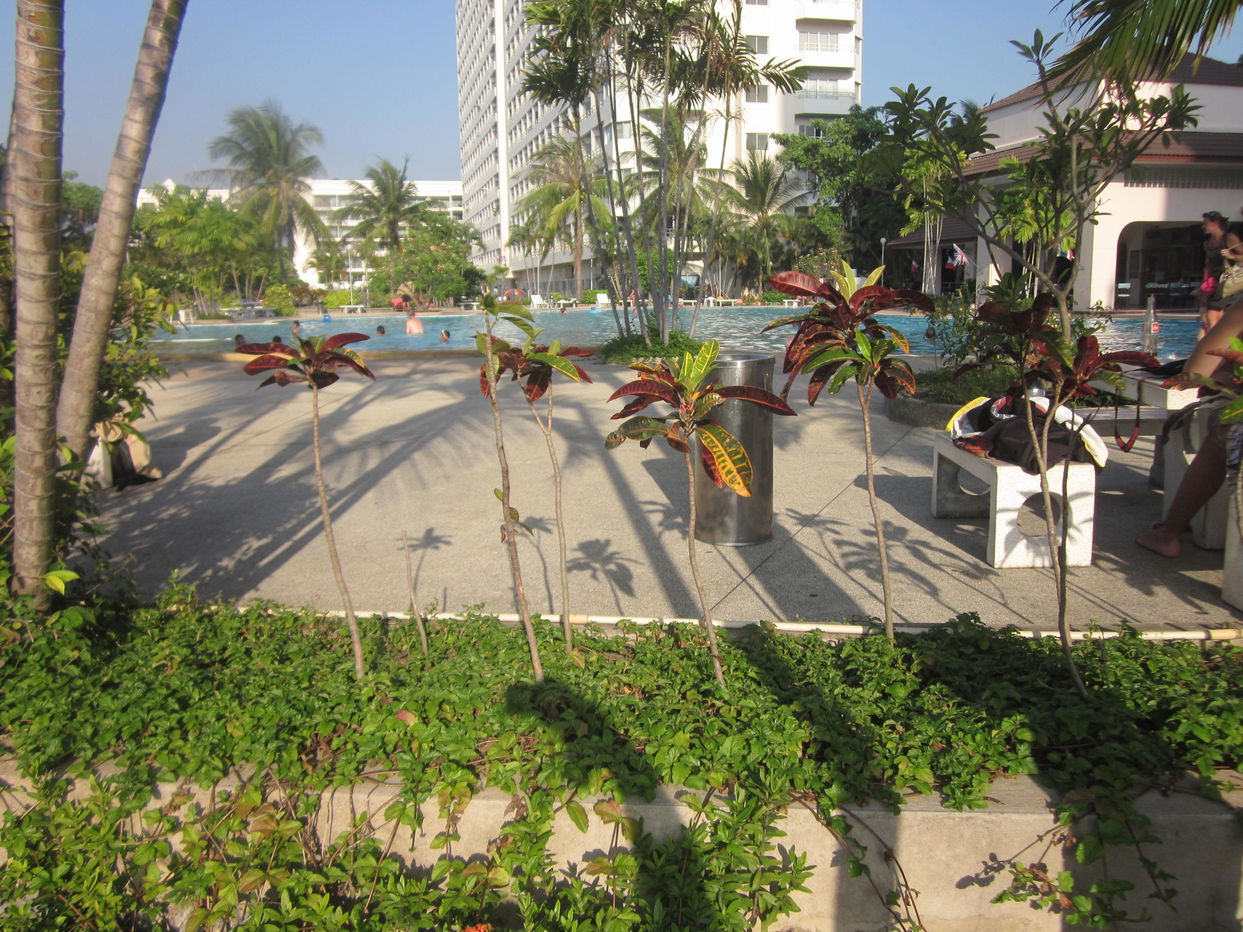 picture Studio Condominium @ View Talay - 14/16