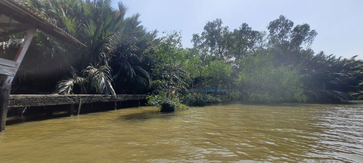 รูป ขายที่ดินริมน้ำ ที่ดินติดแม่น้ำเจ้าพระยา บางกระเจ้า ที่ดินเกือบ 7 ไร่ ติดแม่น้ำเจ้าพระยา ใกล้ถนนเพชรหึงษ์ บางกอบัว 087-9074045 - รูปที่ 1/4