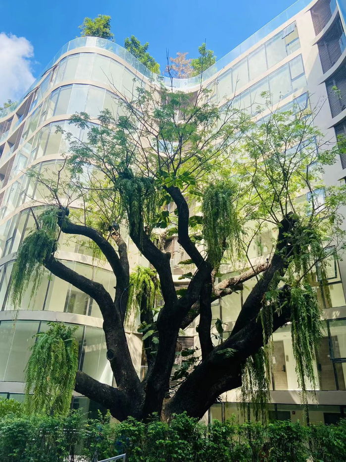 picture condo for Rent  :  Fynn Asoke ( BTS Asoke Station) (Rt-01) - 21/21