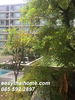 listing thumbnail image 10