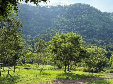 ขายที่เนินหอม เขาใหญ่ 37ไร่ ที่ติดเขาติดน้ำ เมืองปราจีนบุรี มีแหล่งน้ำธรรมชาติในที่ ใกล้ทางขึ้นอุทยานเขาใหญ่ฝั่งปราจีน ขายถูก มีไม้เศรษฐกิจ 0879074045