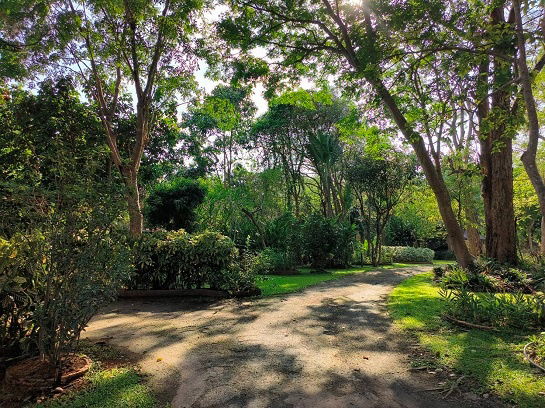 รูป ขายที่ดินริมน้ำ ที่ดินพร้อมบ้านติดธารน้ำตก เขาใหญ่ ปากช่อง 32 ไร่ พญาเย็น ติดถนนกุดคล้าผ่านศึก ที่ดินติดน้ำ ใกล้กรุงเทพ มีน้ำตกในที่ 0879074045 - รูปที่ 7/26