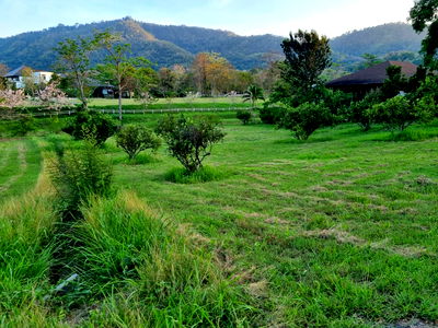 ที่ดิน นครราชสีมา (โคราช) : ขายที่ดินเขาใหญ่ หมูสี 391ตร.ว วิวอุทยานเขาใหญ่สวยละมุนมาก โครงการมลดา Monlada ติดเส้น3052 ใกล้ธนะรัชต์ ทางขึ้นอุทยาน ใกล้คีรีมายา ปากช่อง 087-9074045