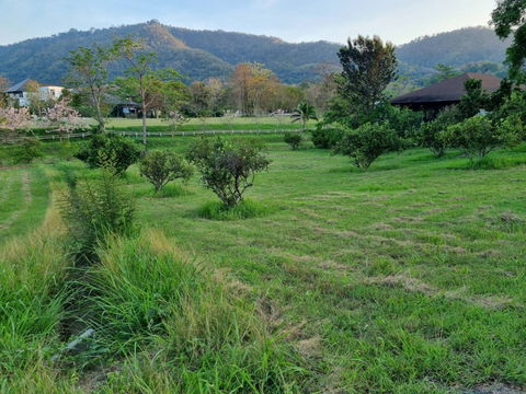 ขายที่ดินเขาใหญ่ หมูสี 391ตร.ว วิวอุทยานเขาใหญ่สวยละมุนมาก โครงการมลดา Monlada ติดเส้น3052 ใกล้ธนะรัชต์ ทางขึ้นอุทยาน ใกล้คีรีมายา ปากช่อง 087-9074045