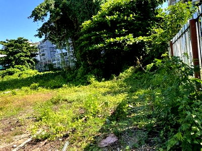 ที่ดิน เซ็นทรัล พลาซ่า บางนา : ขายที่ดินสุขุมวิท50 ใกล้ BTSอ่อนนุช ที่ดินสุขุมวิท บางจาก เนื้อที่ 49.2 ตร.ว ทำเลดีมาก สภาพแวดล้อมดี ใกล้ทางด่วน ขายถูก หายากมาก 0879074045