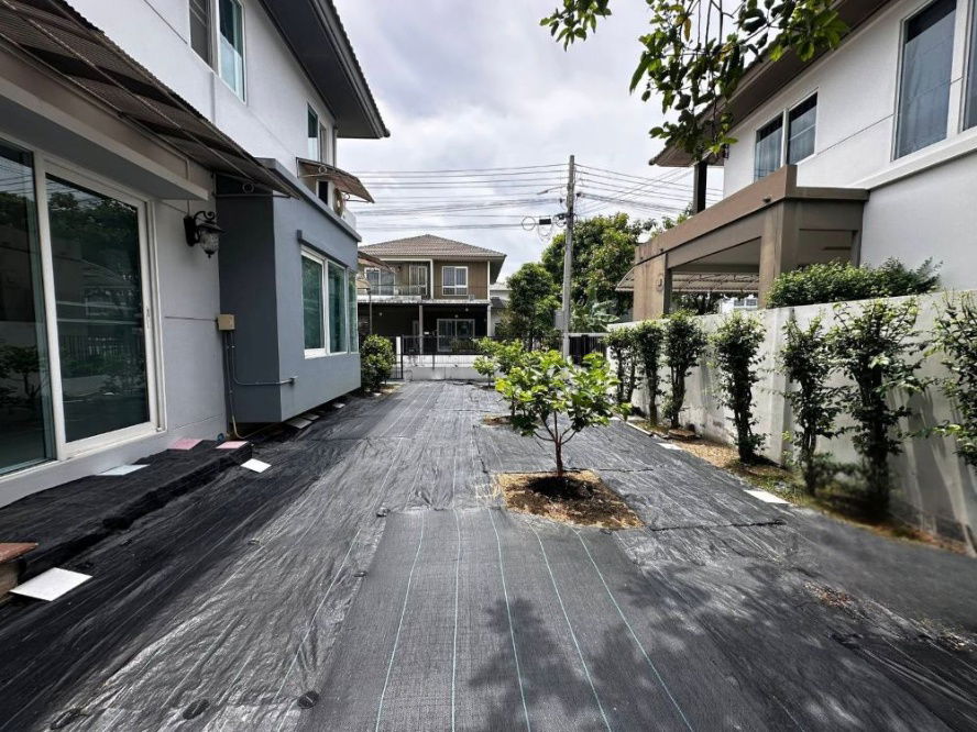 รูป ขายบ้านเดี่ยว 2 ชั้น โครงการชัยพฤกษ์ พุทธมณฑล สาย 5 หันหน้าทิศเหนือ พร้อมเข้าอยู่ได้ทันที ติดถนนพุทธมณฑลสาย 5 - รูปที่ 14/14
