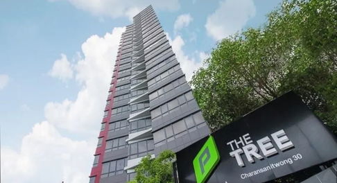 68080950 : ขายห้องชุดพักอาศัยขนาด 1 ห้องนอน พื้นที่ 26.5 ตรม. โครงการ The Tree Charan 30 ใกล้รถไฟฟ้าสายสีน้ำเงิน สถานีแยกไฟฉาย คุ้มค่า น่าอยู่