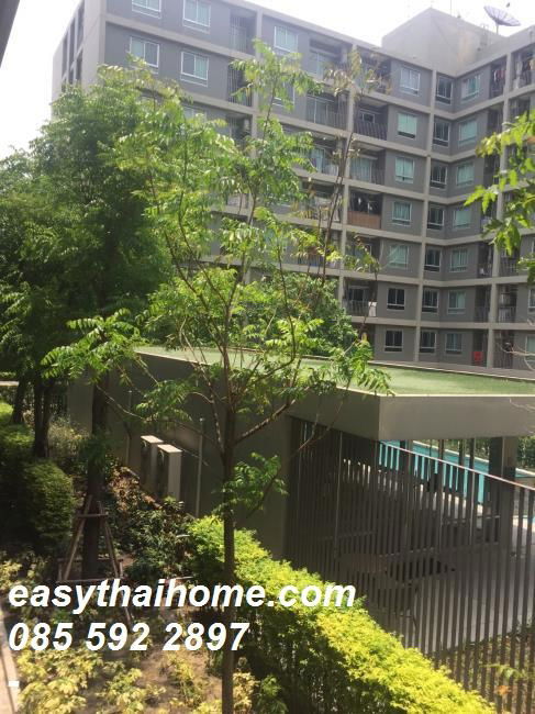 picture P-29141 Condo for sell Condo U Ratchayothin fully furnished. - 16/17
