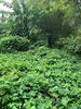 listing thumbnail image 4