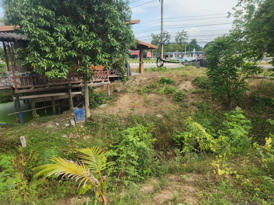 รูป ขายที่ดิน ผังเมืองสีชมพู – วิวภูเขา ทำเลทองทางเข้าหาดชะอำ โซนชะอำ–หัวหิน เพชรบุรี “จุดดักสายตาก่อนถึงทะเล - รูปที่ 11/13