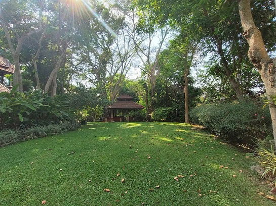 รูป ขายที่ดินริมน้ำ ที่ดินพร้อมบ้านติดธารน้ำตก เขาใหญ่ ปากช่อง 32 ไร่ พญาเย็น ติดถนนกุดคล้าผ่านศึก ที่ดินติดน้ำ ใกล้กรุงเทพ มีน้ำตกในที่ 0879074045 - รูปที่ 4/26