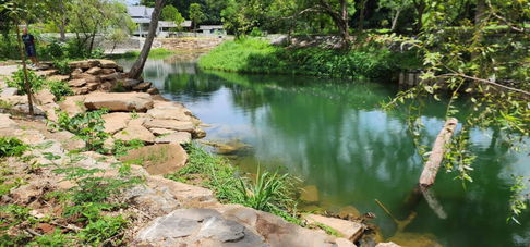 ขายที่ติดน้ำเขาใหญ่ 1.5 ไร่  ที่ติดน้ำวิวสวย ขนงพระ ปากช่อง ใกล้ธนะรัชต์ บรรยากาศดี ร่มรื่น มีเพื่อนบ้านไม่เปลี่ยว ติดน้ำลำตะคอง ใกล้ธาราคาเฟ่