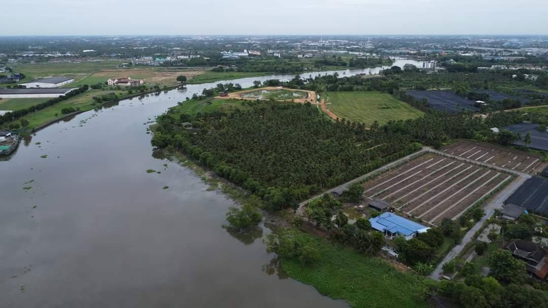 รูป ขายที่ดินริมน้ำ ที่ติดแม่น้ำท่าจีน สามพราน นครปฐม มี 2แปลง 10ไร่ กับ 12ไร่ ไร่ละ 4.5 ล้าน ใกล้เส้นเพชรเกษม อ้อมใหญ่ เหมาะทำร้านอาหารริมน้ำ โกดัง - รูปที่ 4/5