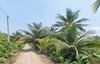 listing thumbnail image 4