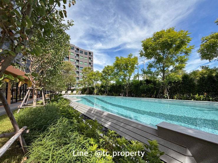 picture For Rent : dcondo sense BangSaen 10,000/month - 15/18